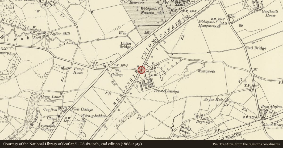 Ordnance Survey six-inch map, 2nd edition (1888–1913) covering the location of Bridge 133 over the Montgomeryshire Canal, Berriew, Powys, with a pin at the register's coordinates