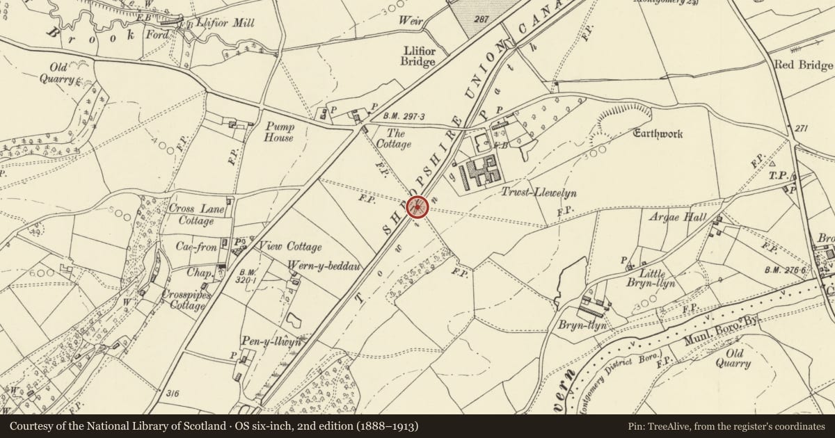 Ordnance Survey six-inch map, 2nd edition (1888–1913) covering the location of Bridge 134 over the Montgomeryshire Canal, Berriew, Powys, with a pin at the register's coordinates