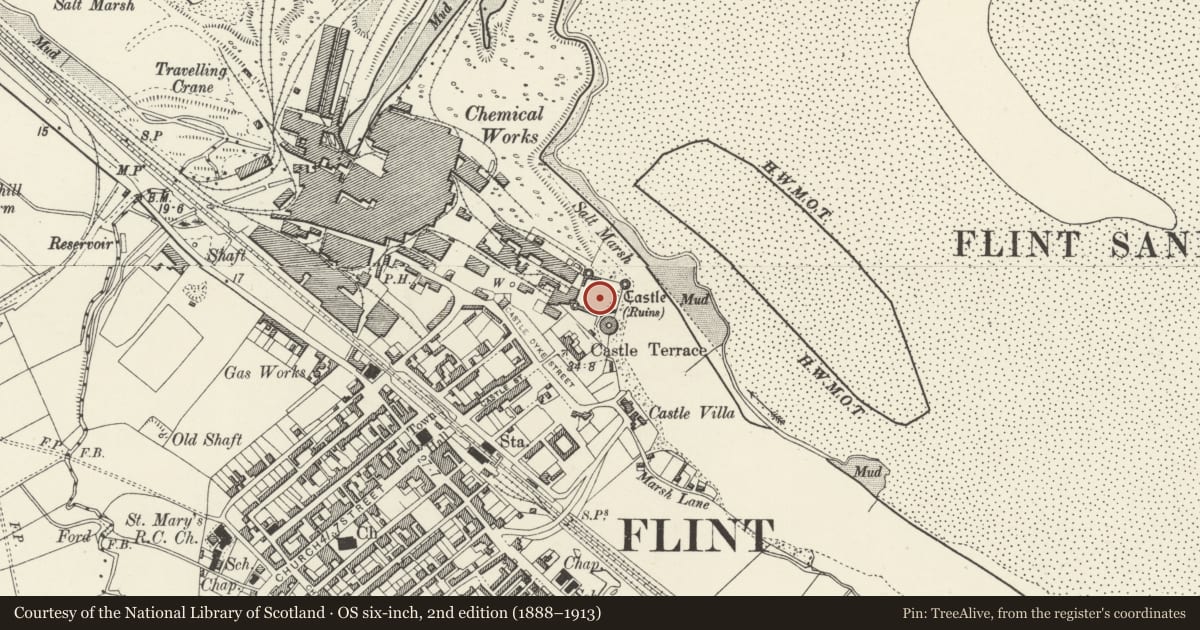 Ordnance Survey six-inch map, 2nd edition (1888–1913) covering the location of Flint Castle including Revetment Wall of Ditch, Flintshire, with a pin at the register's coordinates