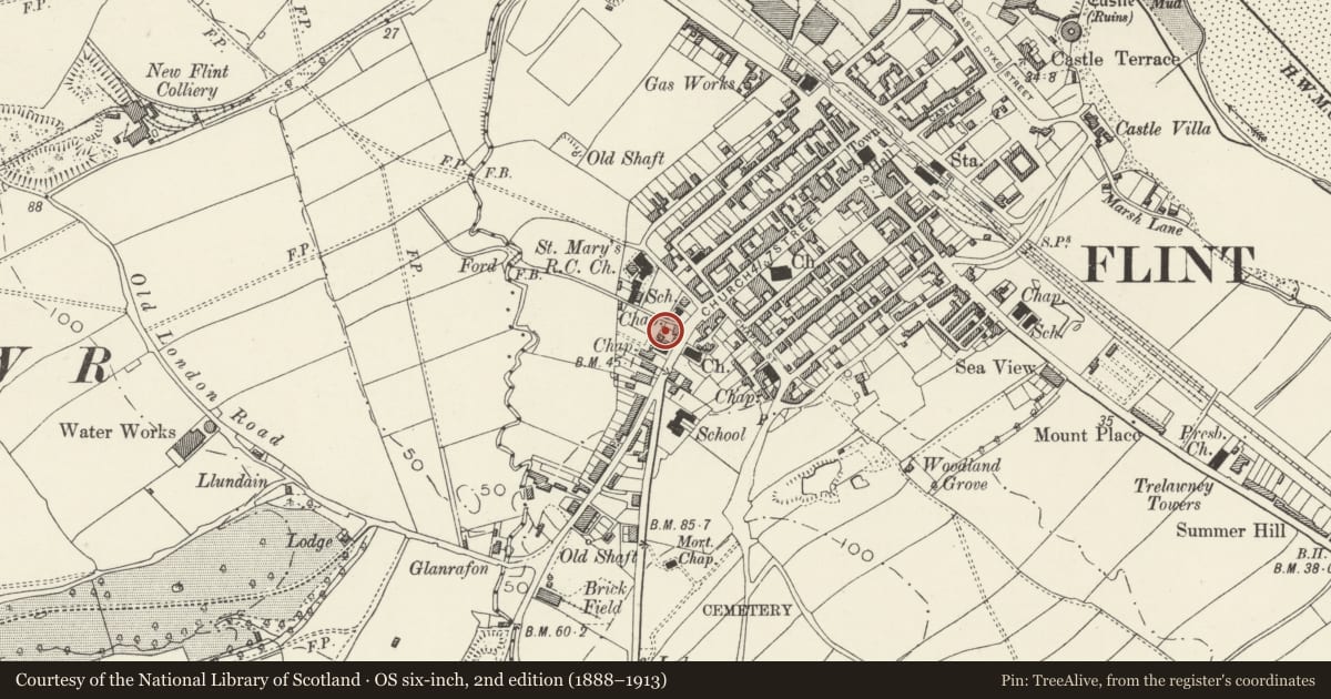 Ordnance Survey six-inch map, 2nd edition (1888–1913) covering the location of Palace Social Club (former Plaza Cinema), Flint, Flintshire, with a pin at the register's coordinates