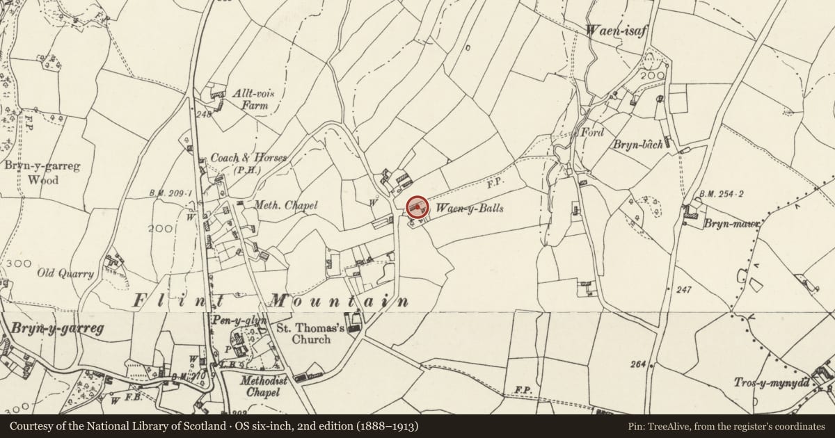 Ordnance Survey six-inch map, 2nd edition (1888–1913) covering the location of Waen Farmhouse, Flint, Flintshire, with a pin at the register's coordinates