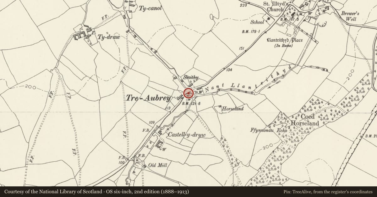 Ordnance Survey six-inch map, 2nd edition (1888–1913) covering the location of Circular Pigsty at the Meadows, Llancarfan, Vale of Glamorgan, with a pin at the register's coordinates