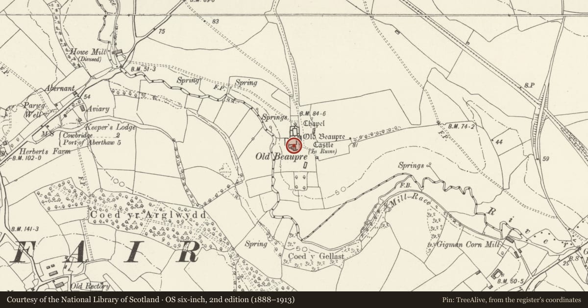 Ordnance Survey six-inch map, 2nd edition (1888–1913) covering the location of Former Hall Range to S of Old Beaupre Castle, Llanfair, Vale of Glamorgan, with a pin at the register's coordinates