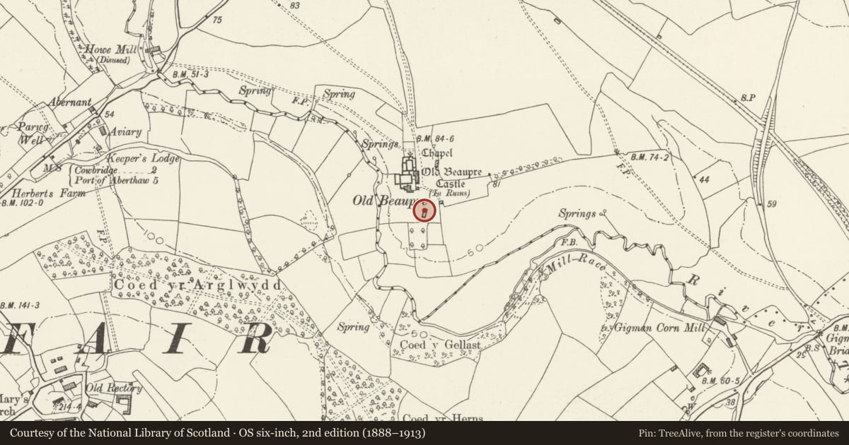 Ordnance Survey six-inch map, 2nd edition (1888–1913) covering the location of Old Beaupre Barn, Llanfair, Vale of Glamorgan, with a pin at the register's coordinates