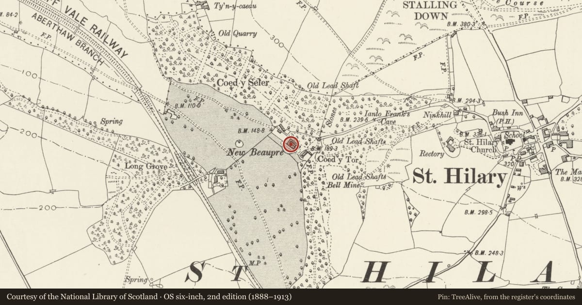 Ordnance Survey six-inch map, 2nd edition (1888–1913) covering the location of New Beaupre, Llanfair, Vale of Glamorgan, with a pin at the register's coordinates