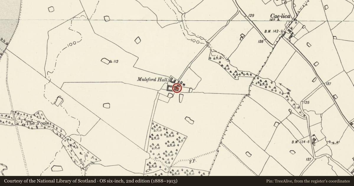 Ordnance Survey six-inch map, 2nd edition (1888–1913) covering the location of Mulsford Hall, Willington Worthenbury, Wrexham, with a pin at the register's coordinates
