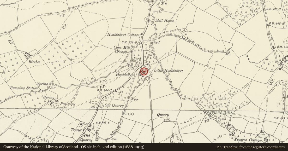 Ordnance Survey six-inch map, 2nd edition (1888–1913) covering the location of Stable Range at Hoaldalbert, Grosmont, Monmouthshire, with a pin at the register's coordinates