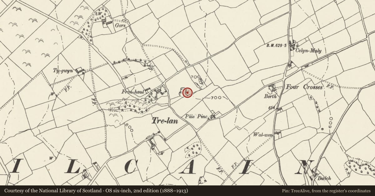 Ordnance Survey six-inch map, 2nd edition (1888–1913) covering the location of Lime Kiln at Tre-Lan, Cilcain, Flintshire, with a pin at the register's coordinates