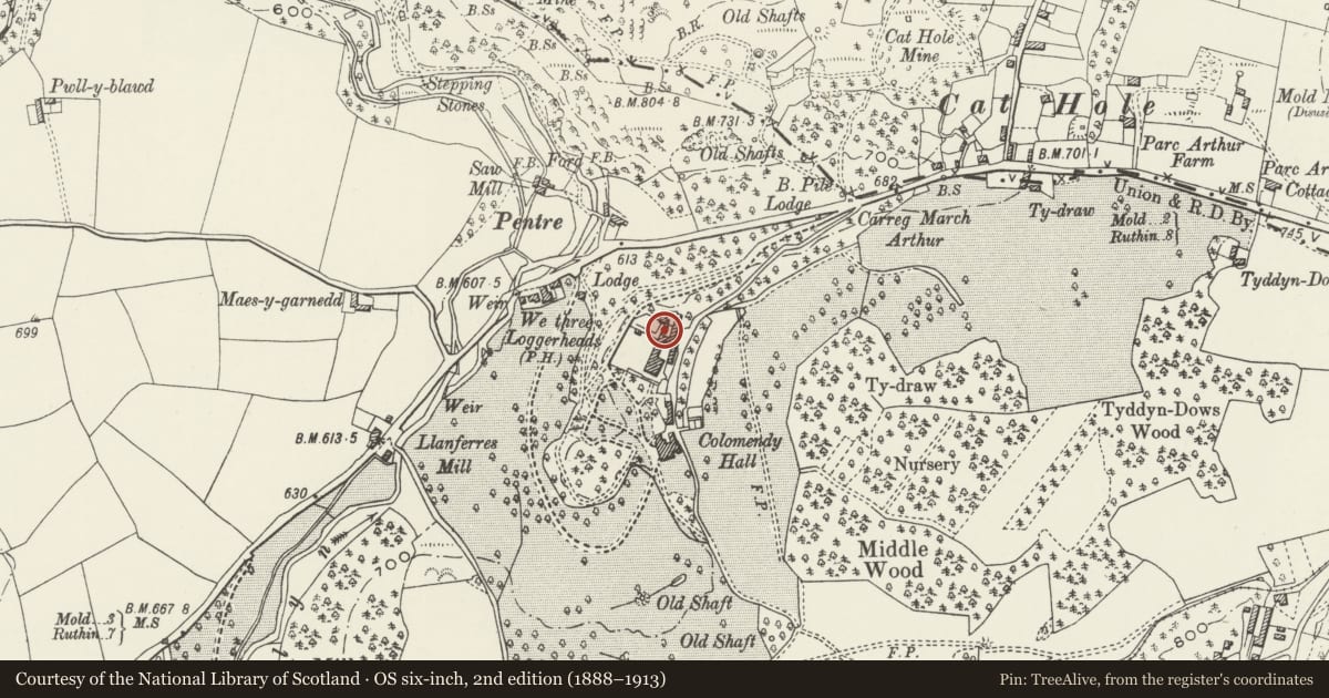Ordnance Survey six-inch map, 2nd edition (1888–1913) covering the location of Hay Barn at Colomendy Hall, Llanferres, Denbighshire, with a pin at the register's coordinates