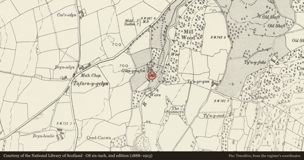Ordnance Survey six-inch map, 2nd edition (1888–1913) covering the location of Glan-y-Afon, Llanferres, Denbighshire, with a pin at the register's coordinates