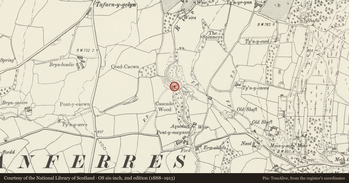 Ordnance Survey six-inch map, 2nd edition (1888–1913) covering the location of Bridge at Cascade Wood, Llanferres, Denbighshire, with a pin at the register's coordinates