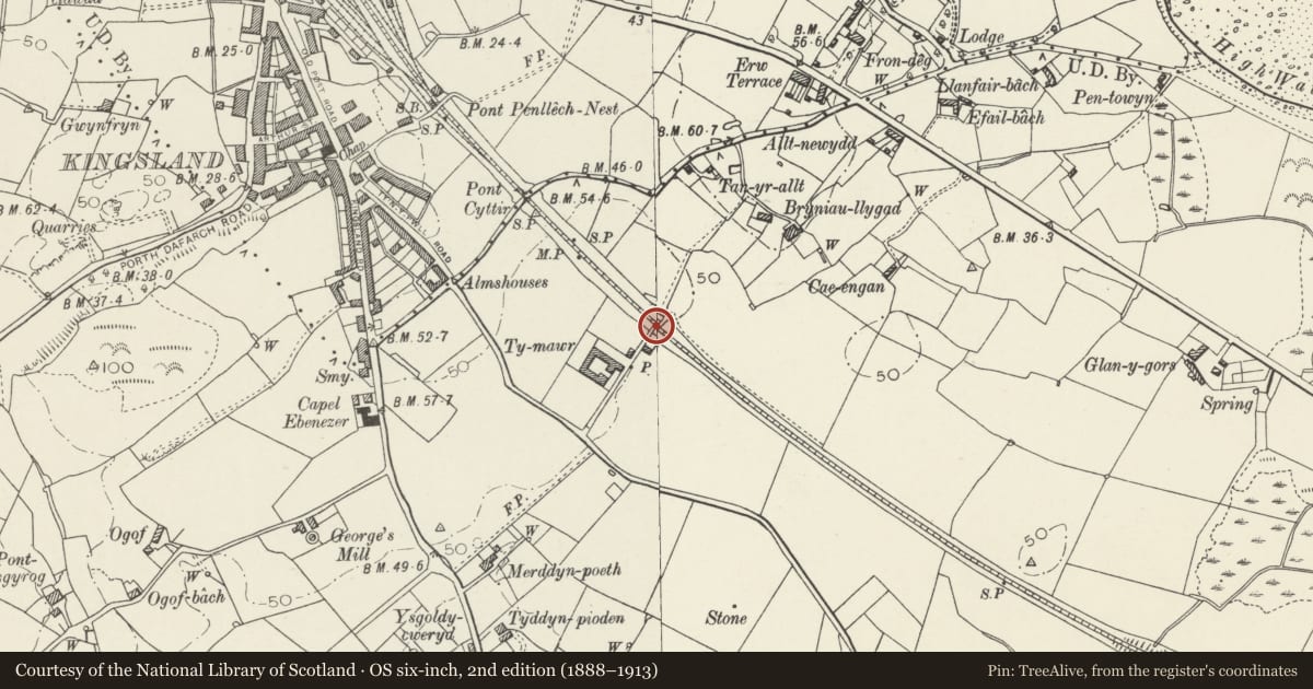 Ordnance Survey six-inch map, 2nd edition (1888–1913) covering the location of Bridge Over Railway near Ty Mawr Farmhouse, Holyhead, Isle of Anglesey, with a pin at the register's coordinates