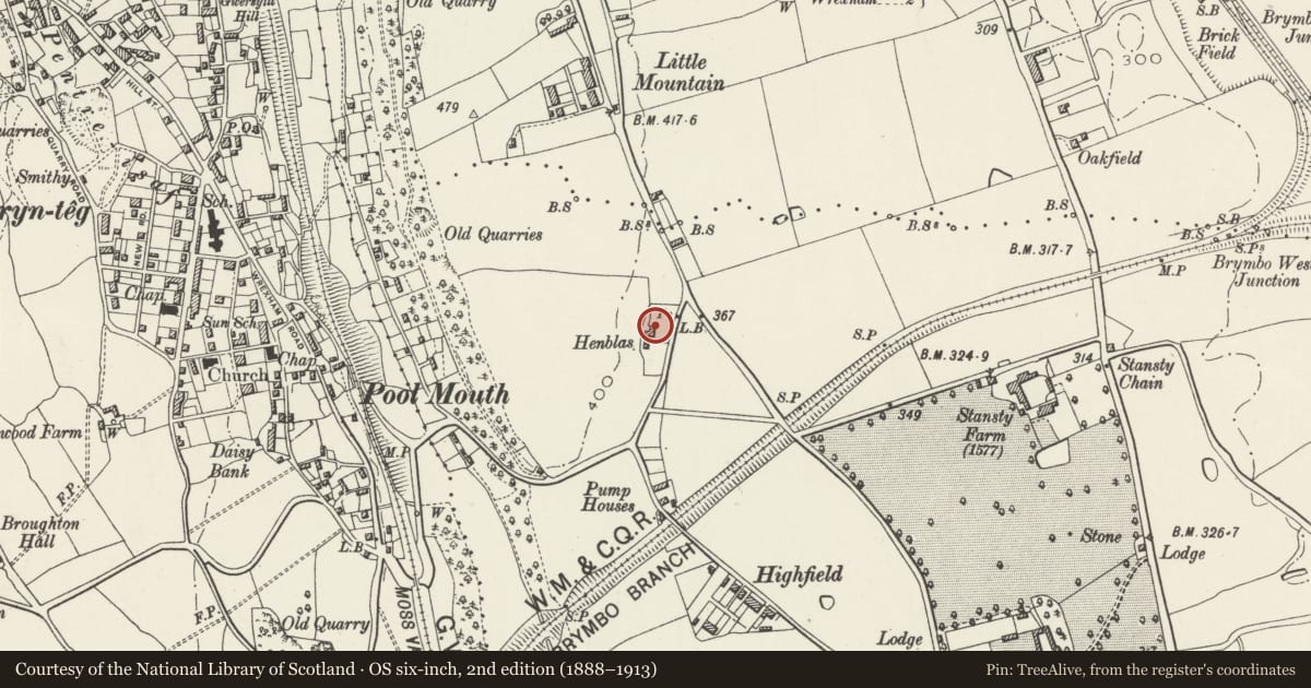 Ordnance Survey six-inch map, 2nd edition (1888–1913) covering the location of Henblas, Gwersyllt, Wrexham, with a pin at the register's coordinates