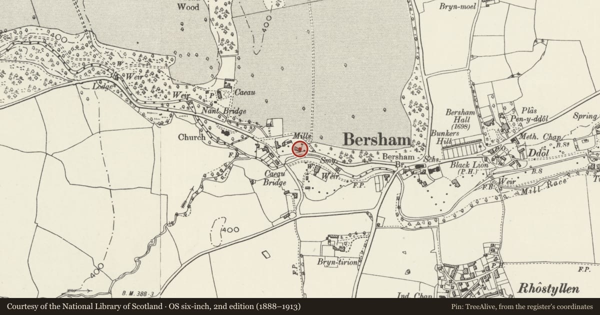 Ordnance Survey six-inch map, 2nd edition (1888–1913) covering the location of Single Storeyed Building to SE of Octagonal Building at Bersham Ironworks Site, Esclusham, Wrexham, with a pin at the register's coordinates