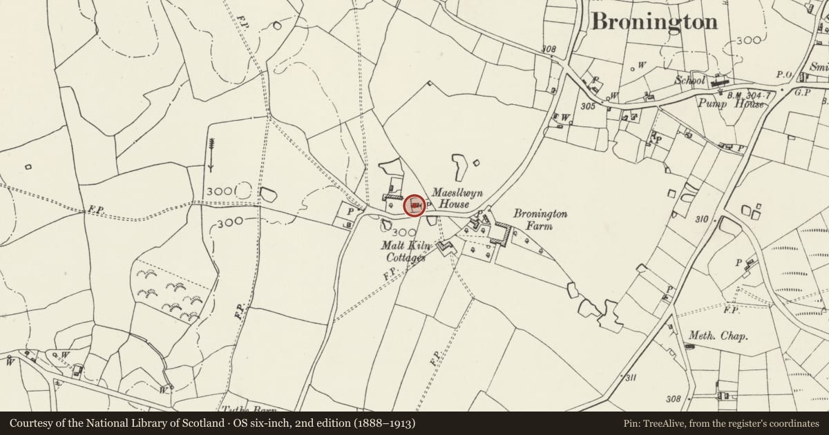 Ordnance Survey six-inch map, 2nd edition (1888–1913) covering the location of Maesllwyn House, Bronington, Wrexham, with a pin at the register's coordinates