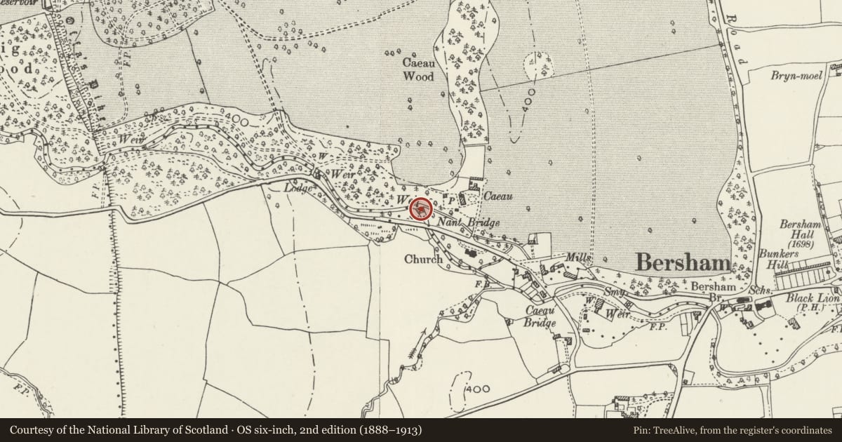 Ordnance Survey six-inch map, 2nd edition (1888–1913) covering the location of Caeau Weir, Esclusham, Wrexham, with a pin at the register's coordinates
