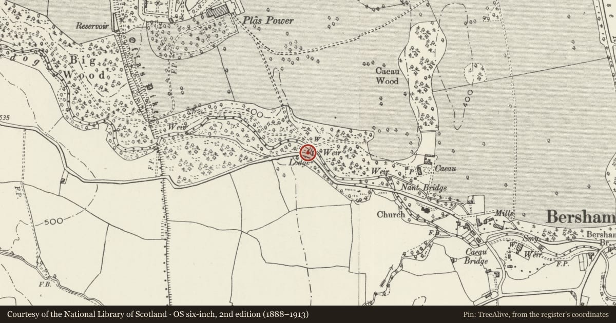 Ordnance Survey six-inch map, 2nd edition (1888–1913) covering the location of Bridge, Gates and Railings at Bersham Lodge, Esclusham, Wrexham, with a pin at the register's coordinates