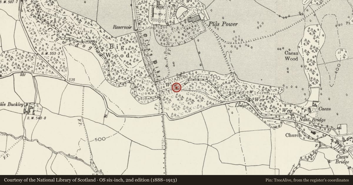 Ordnance Survey six-inch map, 2nd edition (1888–1913) covering the location of Western Weir on the River Clywedog, Coedpoeth, Wrexham, with a pin at the register's coordinates
