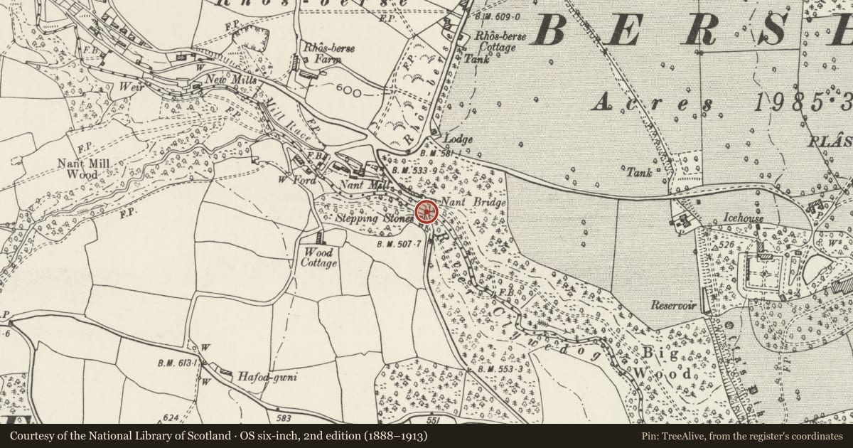 Ordnance Survey six-inch map, 2nd edition (1888–1913) covering the location of Nant Bridge, Esclusham, Wrexham, with a pin at the register's coordinates