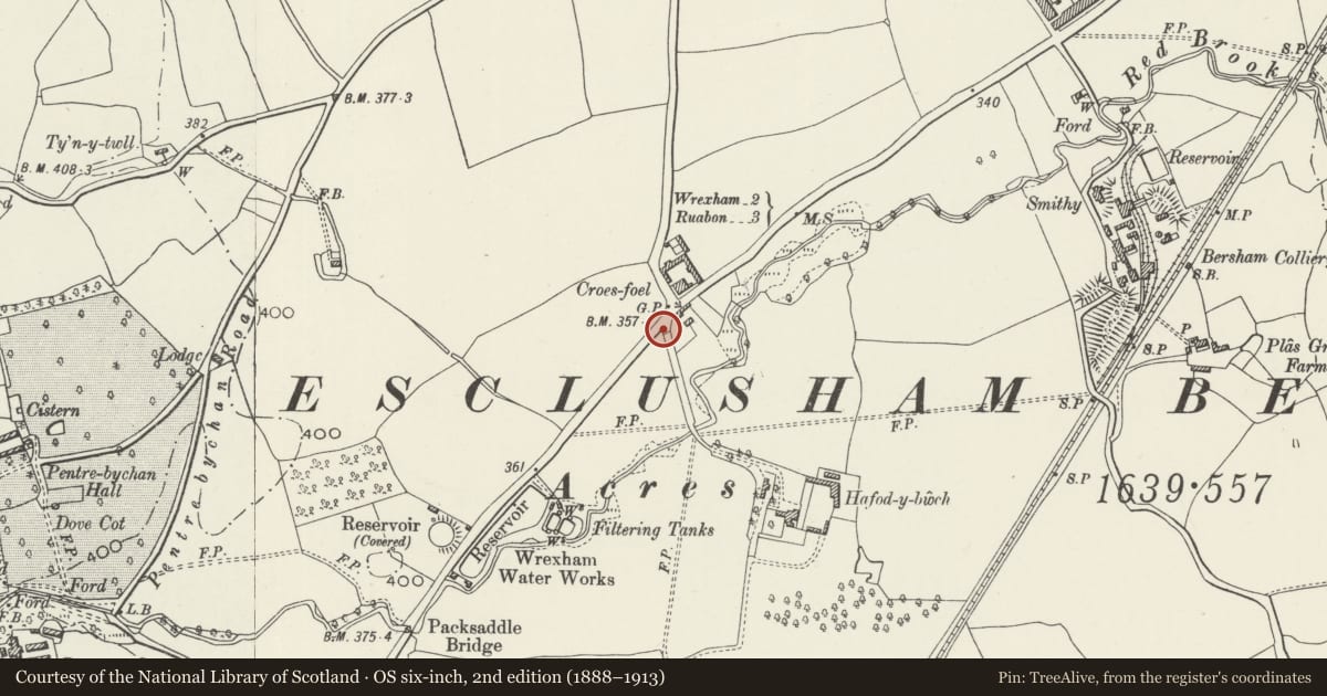 Ordnance Survey six-inch map, 2nd edition (1888–1913) covering the location of Gate Piers at Hafod-y-Bwch Hall, Esclusham, Wrexham, with a pin at the register's coordinates