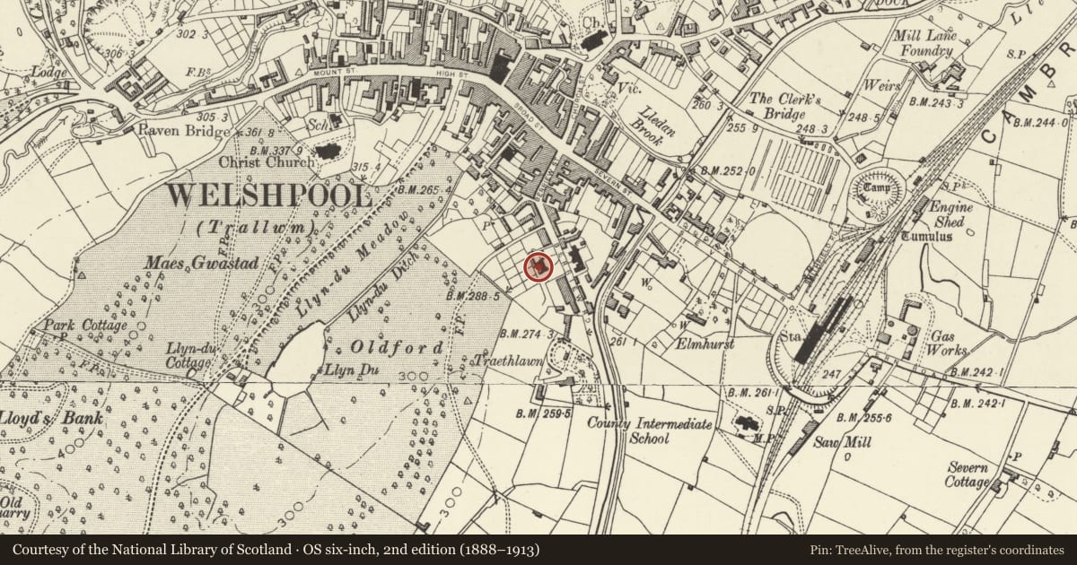 Ordnance Survey six-inch map, 2nd edition (1888–1913) covering the location of Former Grammar School, Welshpool, Powys, with a pin at the register's coordinates