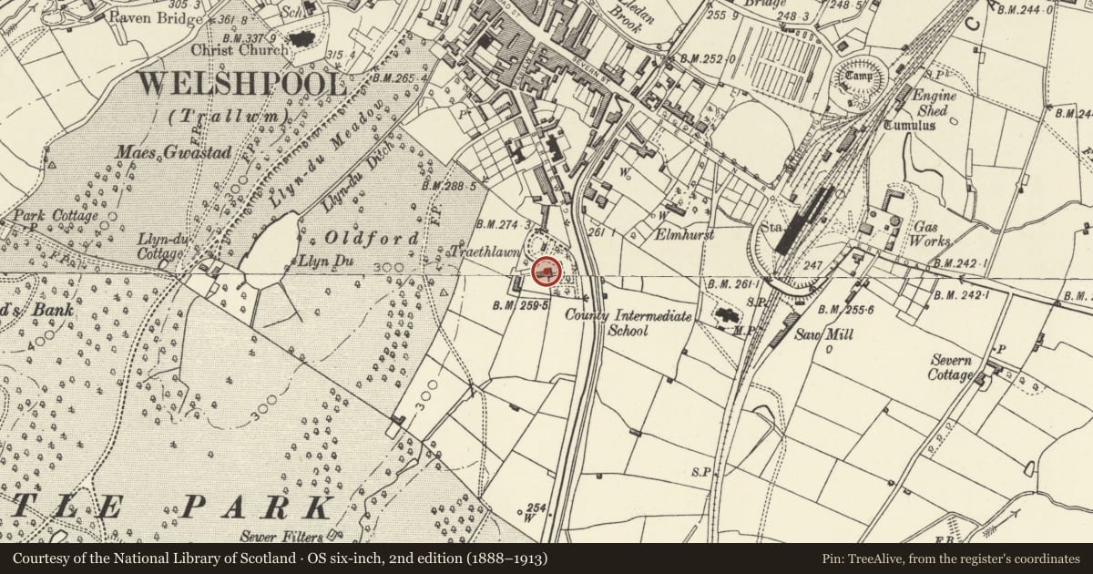 Ordnance Survey six-inch map, 2nd edition (1888–1913) covering the location of Traethllawn, Welshpool, Powys, with a pin at the register's coordinates