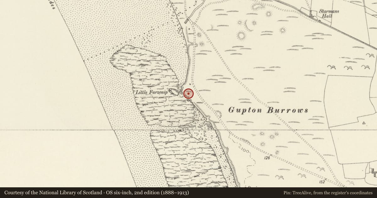 Ordnance Survey six-inch map, 2nd edition (1888–1913) covering the location of Seaweed Hut on foreshore, Castlemartin, Pembrokeshire, with a pin at the register's coordinates