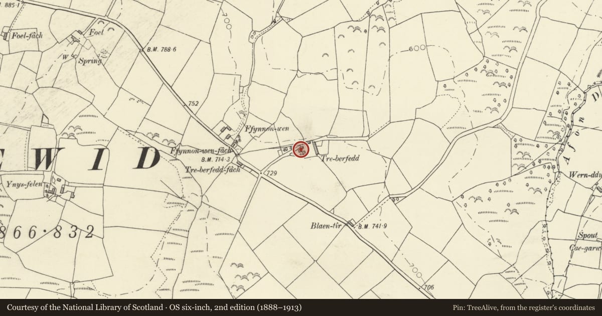 Ordnance Survey six-inch map, 2nd edition (1888–1913) covering the location of Tre-berfedd including kitchen wing forward on right, Llanfihangel Ystrad, Ceredigion, with a pin at the register's coordinates