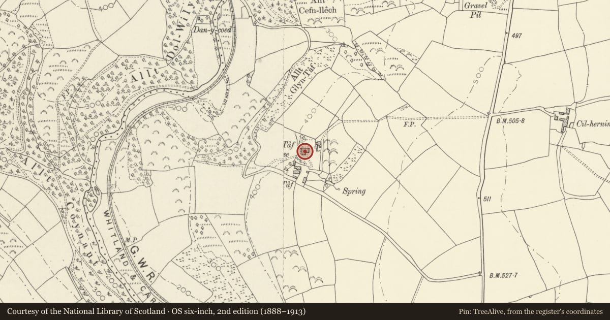 Ordnance Survey six-inch map, 2nd edition (1888–1913) covering the location of Glyn Taf, Llanboidy, Carmarthenshire, with a pin at the register's coordinates