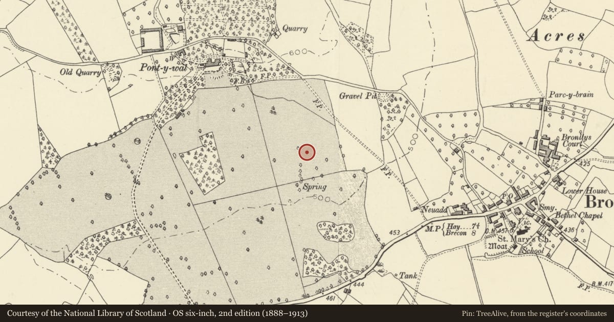 Ordnance Survey six-inch map, 2nd edition (1888–1913) covering the location of Basil Webb Hall, at Bronllys Hospital, Powys, with a pin at the register's coordinates