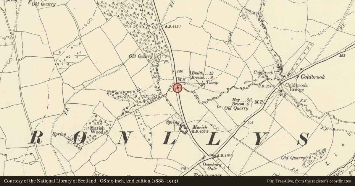 Ordnance Survey six-inch map, 2nd edition (1888–1913) covering the location of Milestone N of Marish Farm, Bronllys, Powys, with a pin at the register's coordinates