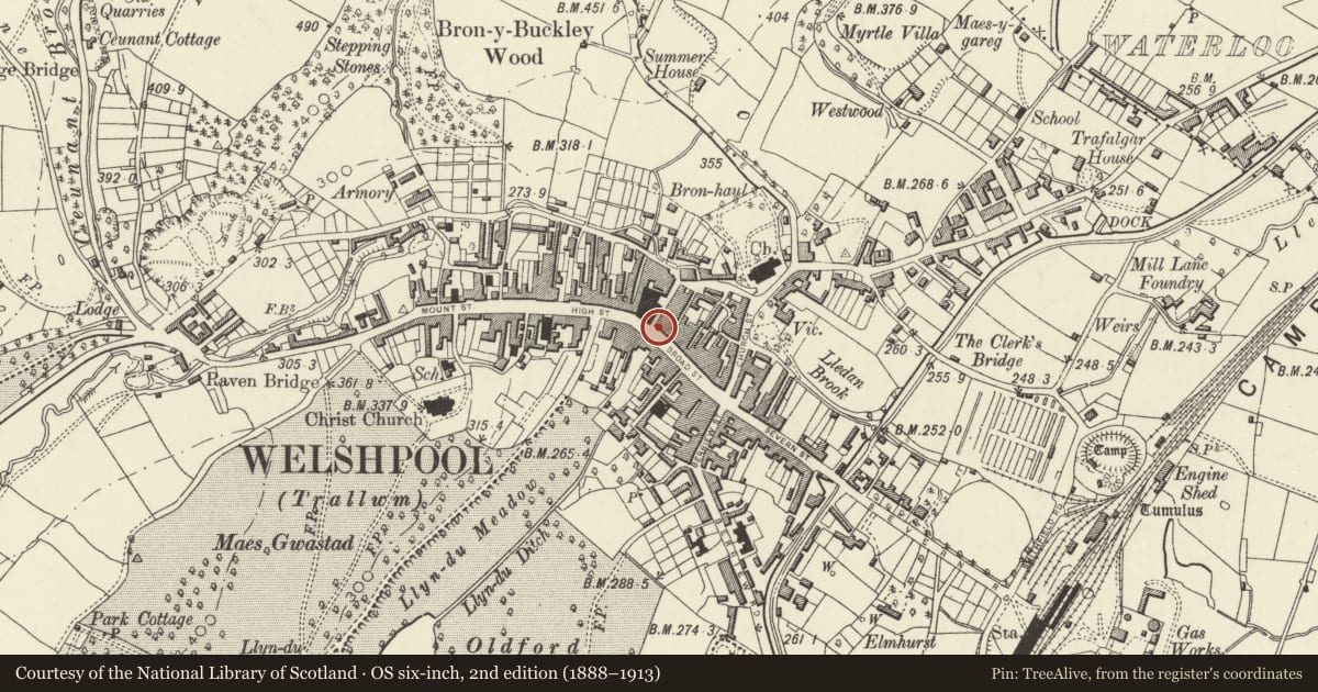 Ordnance Survey six-inch map, 2nd edition (1888–1913) covering the location of Pinewood Tavern, Welshpool, Powys, with a pin at the register's coordinates