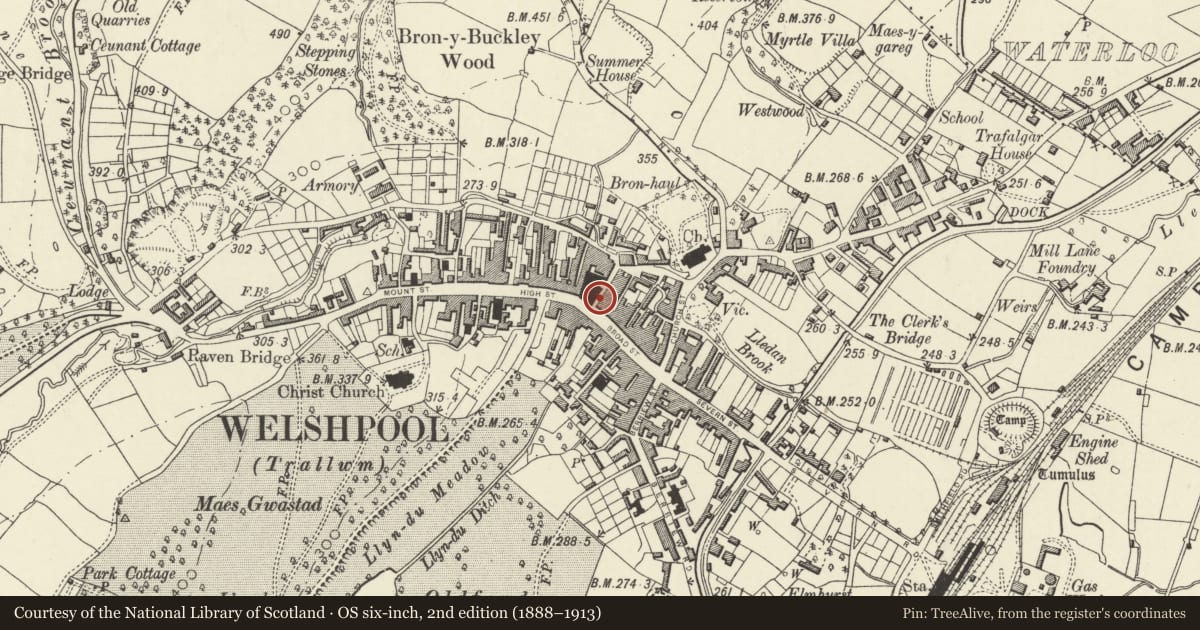Ordnance Survey six-inch map, 2nd edition (1888–1913) covering the location of Pinewood Tavern, Welshpool, Powys, with a pin at the register's coordinates