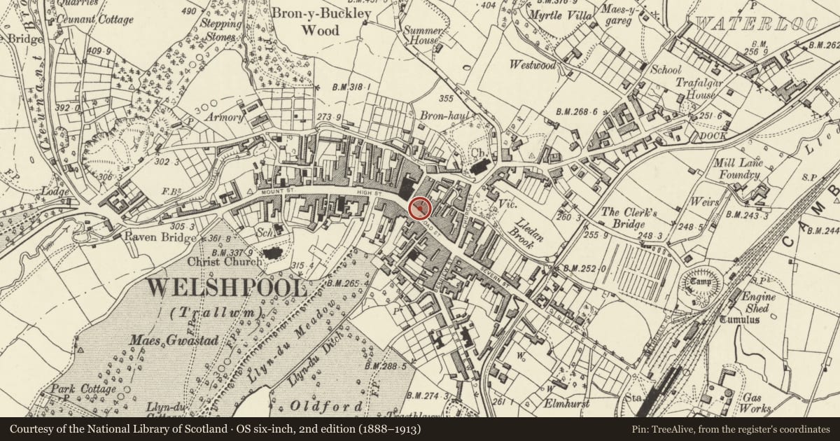 Ordnance Survey six-inch map, 2nd edition (1888–1913) covering the location of 5 Broad Street, Welshpool, Powys, with a pin at the register's coordinates