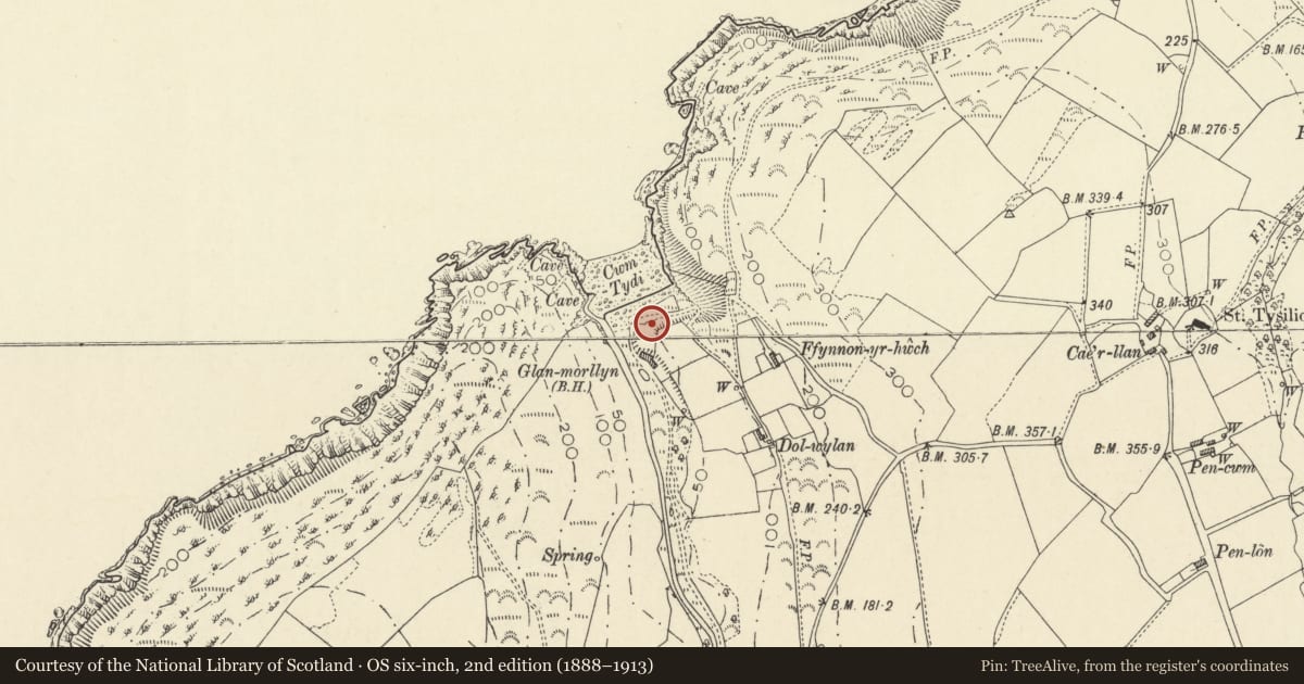 Ordnance Survey six-inch map, 2nd edition (1888–1913) covering the location of Former Limekiln at Cwmtydu, Llandysiliogogo, Ceredigion, with a pin at the register's coordinates