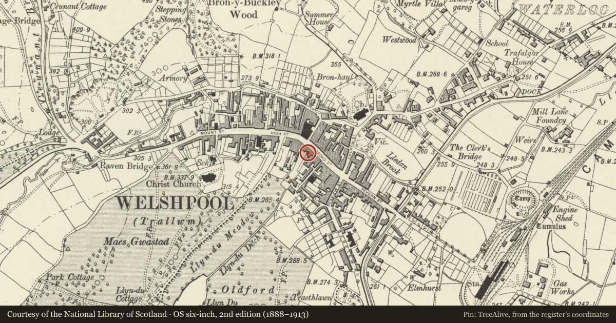 Ordnance Survey six-inch map, 2nd edition (1888–1913) covering the location of 38 Broad Street, Welshpool, Powys, with a pin at the register's coordinates