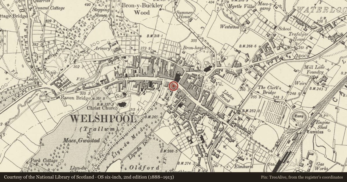 Ordnance Survey six-inch map, 2nd edition (1888–1913) covering the location of 42 Broad Street, Welshpool, Powys, with a pin at the register's coordinates