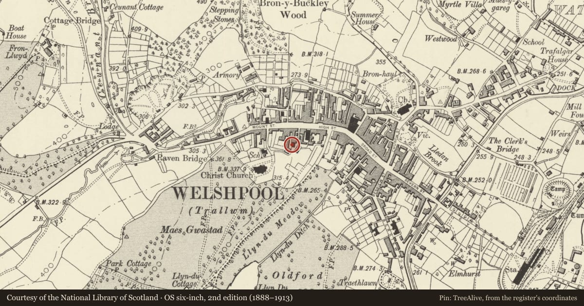 Ordnance Survey six-inch map, 2nd edition (1888–1913) covering the location of Welshpool Baptist Church, Powys, with a pin at the register's coordinates