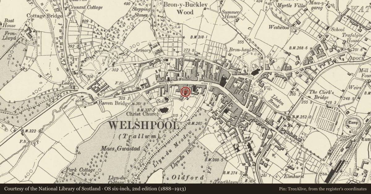 Ordnance Survey six-inch map, 2nd edition (1888–1913) covering the location of 1 Chelsea Lane, Welshpool, Powys, with a pin at the register's coordinates
