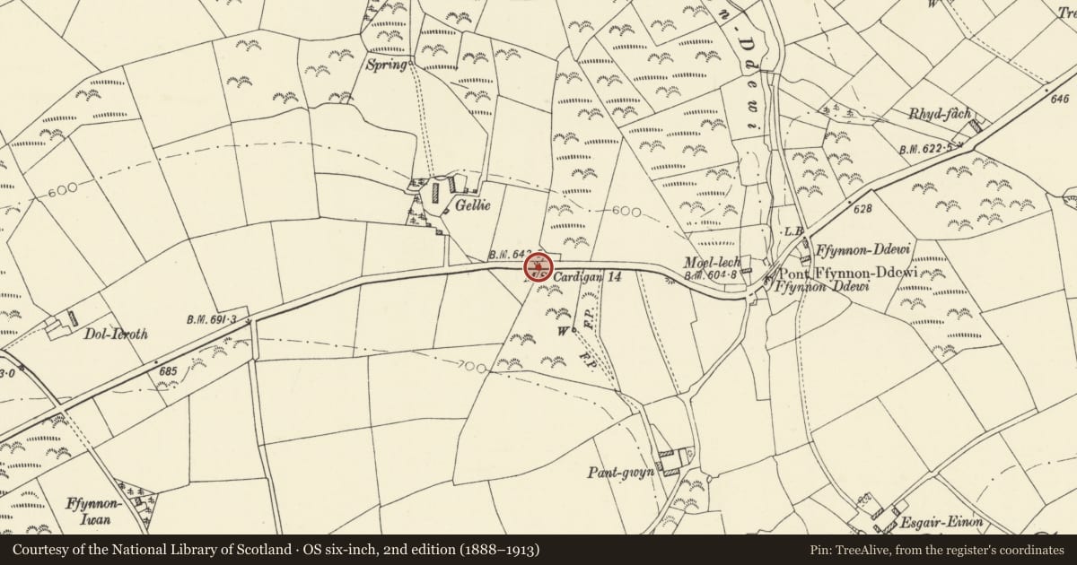 Ordnance Survey six-inch map, 2nd edition (1888–1913) covering the location of Milestone near Gellie, Llandysiliogogo, Ceredigion, with a pin at the register's coordinates