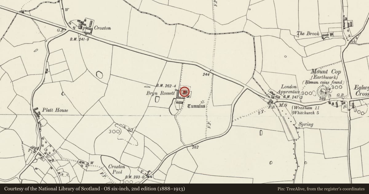 Ordnance Survey six-inch map, 2nd edition (1888–1913) covering the location of Bryn Rossett (West View House), Hanmer, Wrexham, with a pin at the register's coordinates
