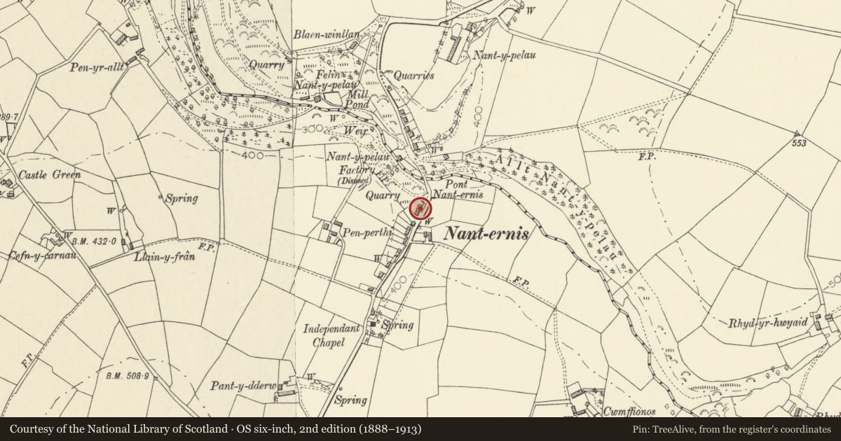 Ordnance Survey six-inch map, 2nd edition (1888–1913) covering the location of Pen Craig Villa, Llandysiliogogo, Ceredigion, with a pin at the register's coordinates