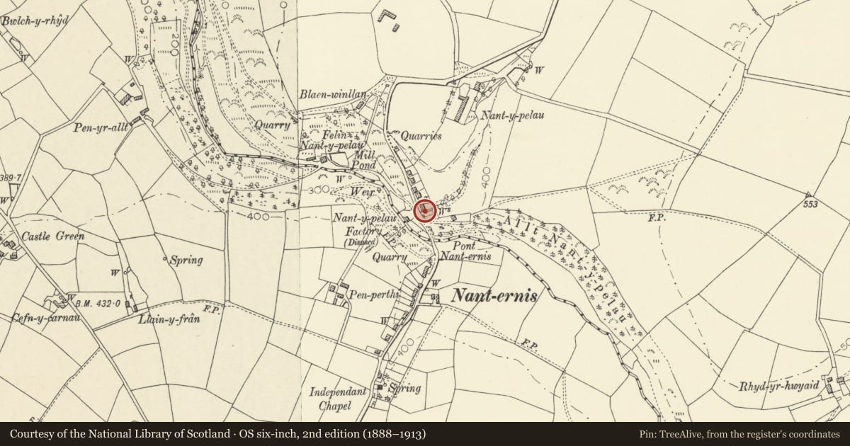 Ordnance Survey six-inch map, 2nd edition (1888–1913) covering the location of Nantygraig, Llandysiliogogo, Ceredigion, with a pin at the register's coordinates