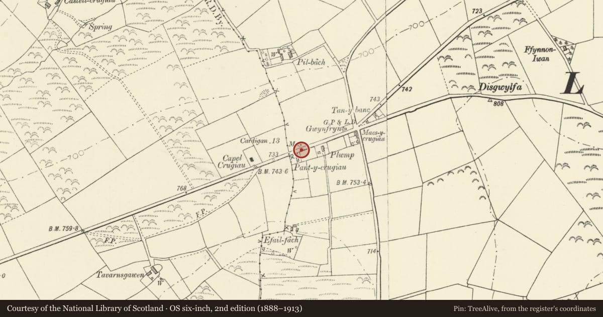 Ordnance Survey six-inch map, 2nd edition (1888–1913) covering the location of Milestone in village centre, Llandysiliogogo, Ceredigion, with a pin at the register's coordinates