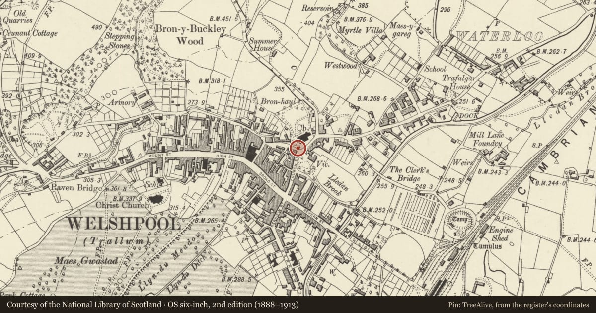 Ordnance Survey six-inch map, 2nd edition (1888–1913) covering the location of War Memorial in churchyard at Church of St Mary, Welshpool, Powys, with a pin at the register's coordinates