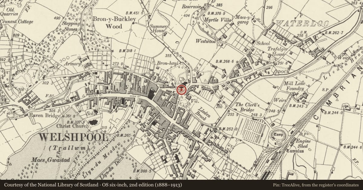 Ordnance Survey six-inch map, 2nd edition (1888–1913) covering the location of Sundial in churchyard at Church of St Mary, Welshpool, Powys, with a pin at the register's coordinates