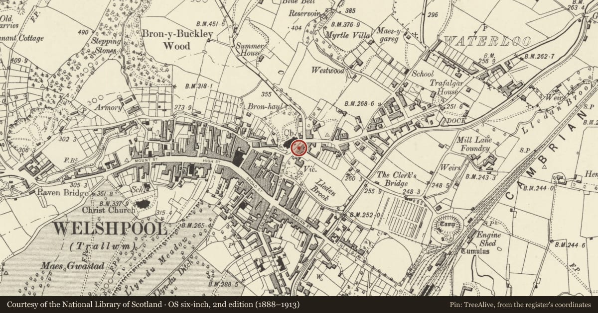 Ordnance Survey six-inch map, 2nd edition (1888–1913) covering the location of Walls, steps and gates to forecourt of Church House, Welshpool, Powys, with a pin at the register's coordinates