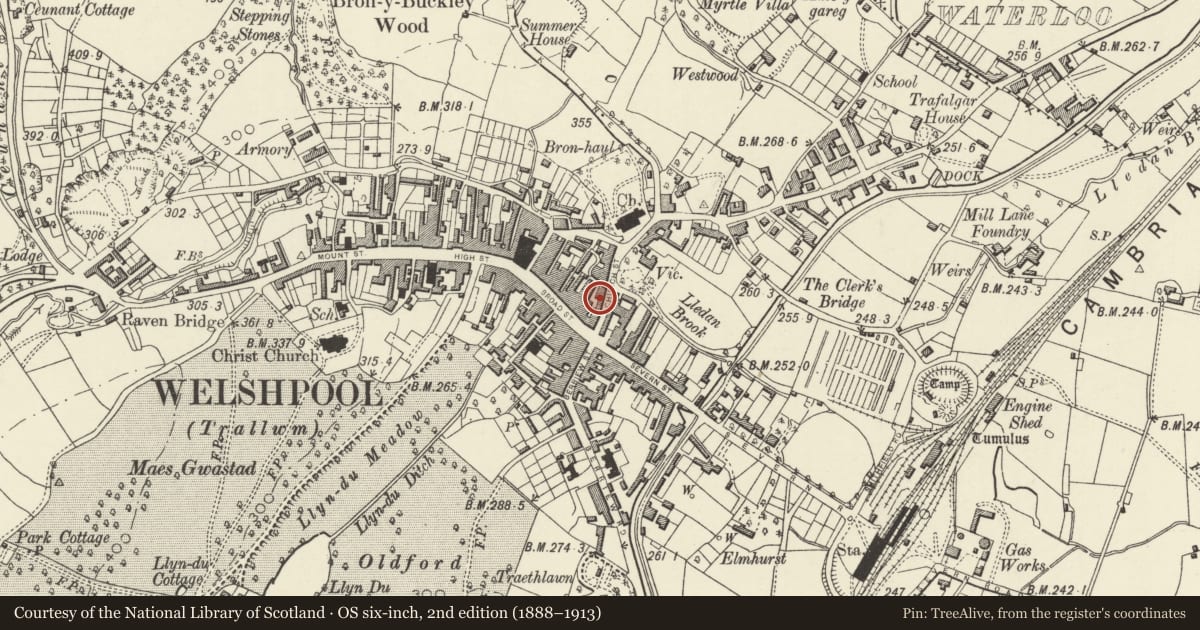 Ordnance Survey six-inch map, 2nd edition (1888–1913) covering the location of 8 Church Street, Welshpool, Powys, with a pin at the register's coordinates
