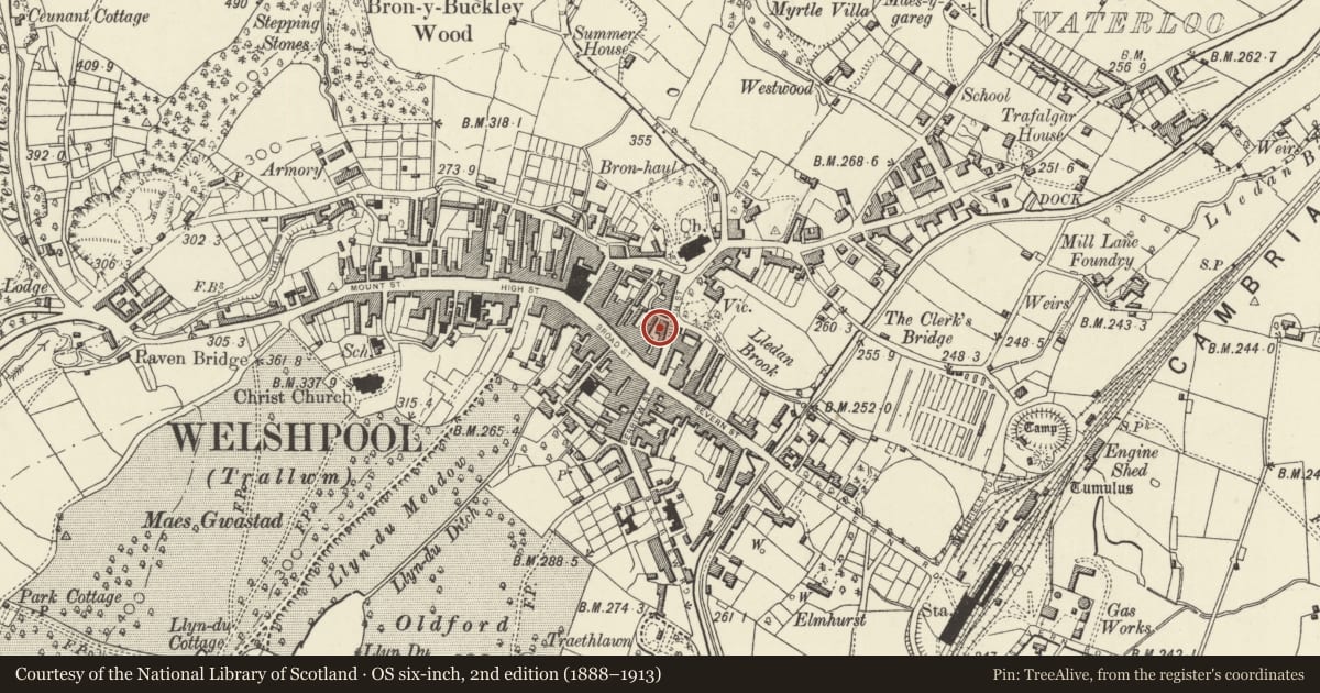 Ordnance Survey six-inch map, 2nd edition (1888–1913) covering the location of 9 Church Street, Welshpool, Powys, with a pin at the register's coordinates