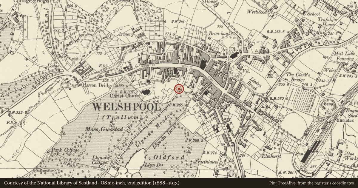 Ordnance Survey six-inch map, 2nd edition (1888–1913) covering the location of Gate Piers & Gates to Powis Castle Park, Welshpool, Powys, with a pin at the register's coordinates